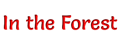 in the forest banner